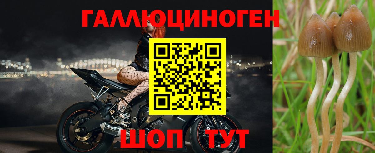 Орёл  Галлюциногенные грибы MAGIC MUSHROOMS  Вход с VPN 